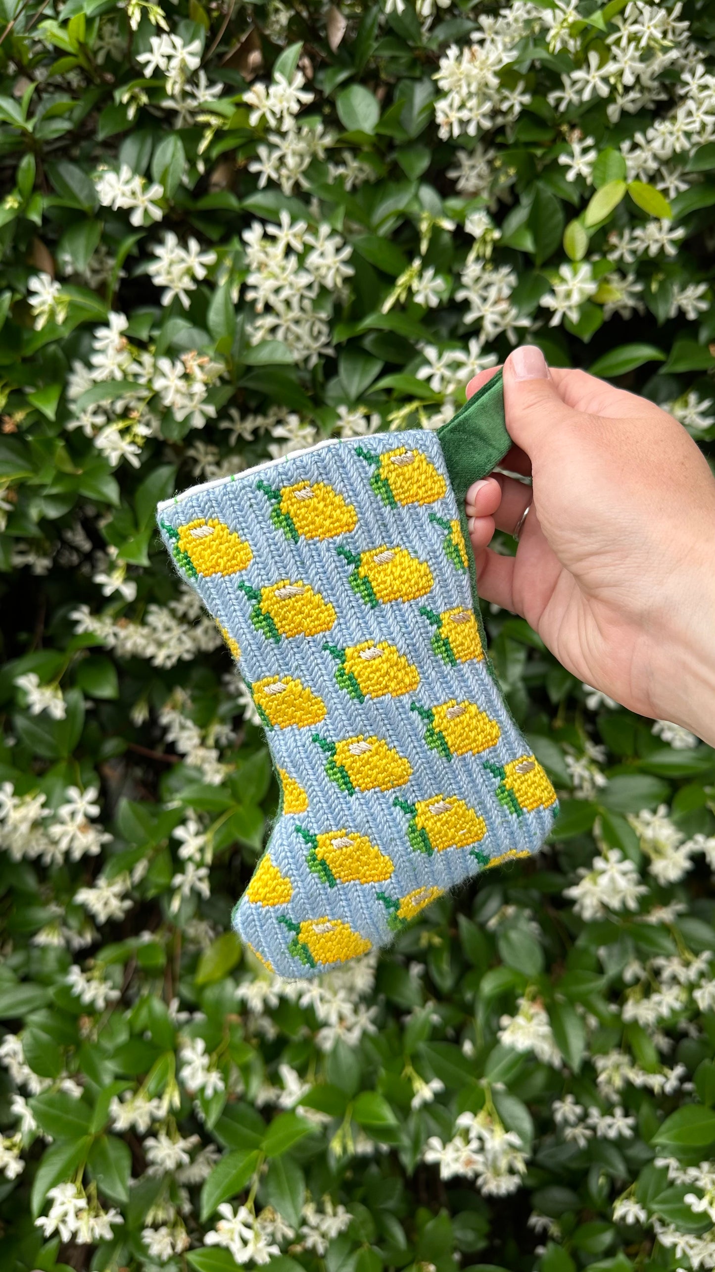 Mini Stocking - Lemon - Wholesale