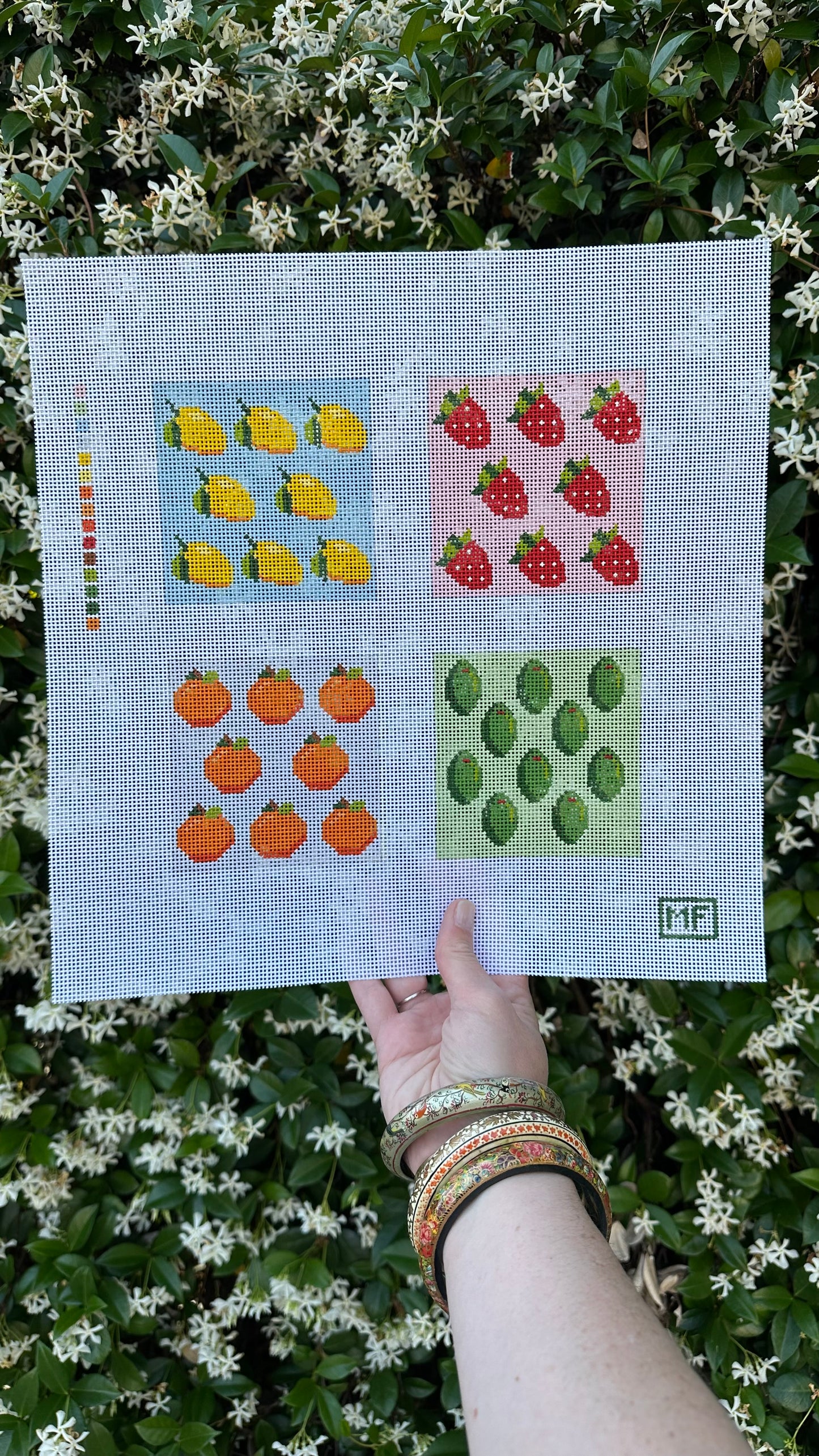 Fruity Coasters